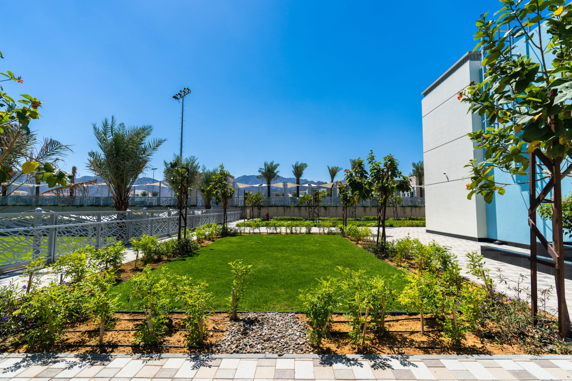 Victoria International School - View 7